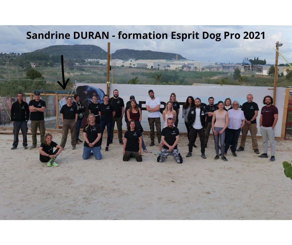 formation esprit dog pro 2021
